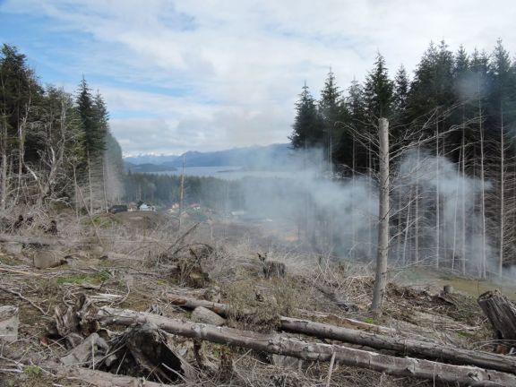 Así son las tierras que le entregó provincia a Ducó por el conflicto con el Lof Paisil Antriao