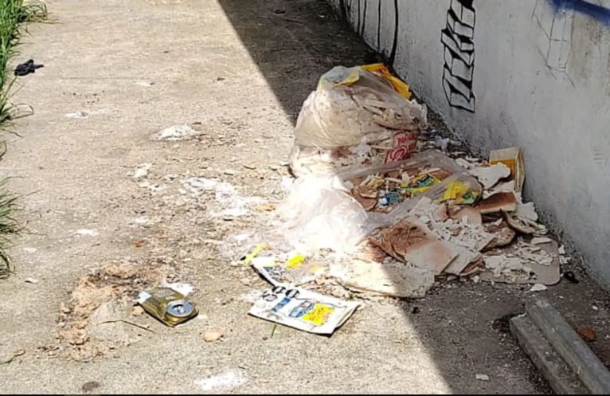 Vecina reclaman por la basura que arrojan en las inmediaciones de la ...